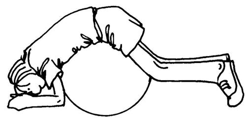 Exercise Card Set For Physical Therapy Rolls With 89 Indexed Cards In Blue Case 6 Categories