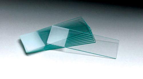  Microscope Slides- 1/4 Frosted Pk/72