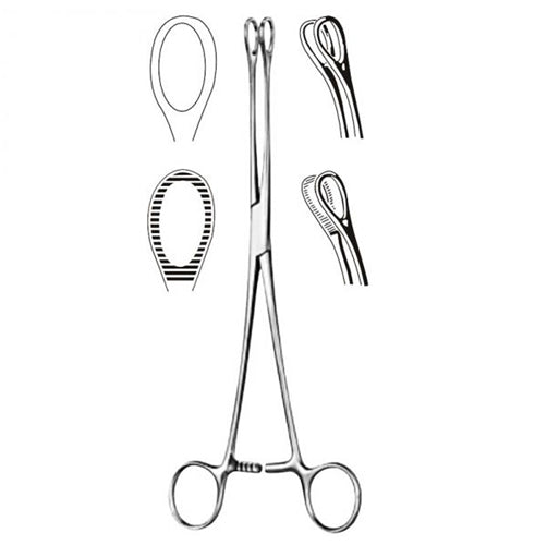  Foerster Sponge Forcep- 7 Serrated